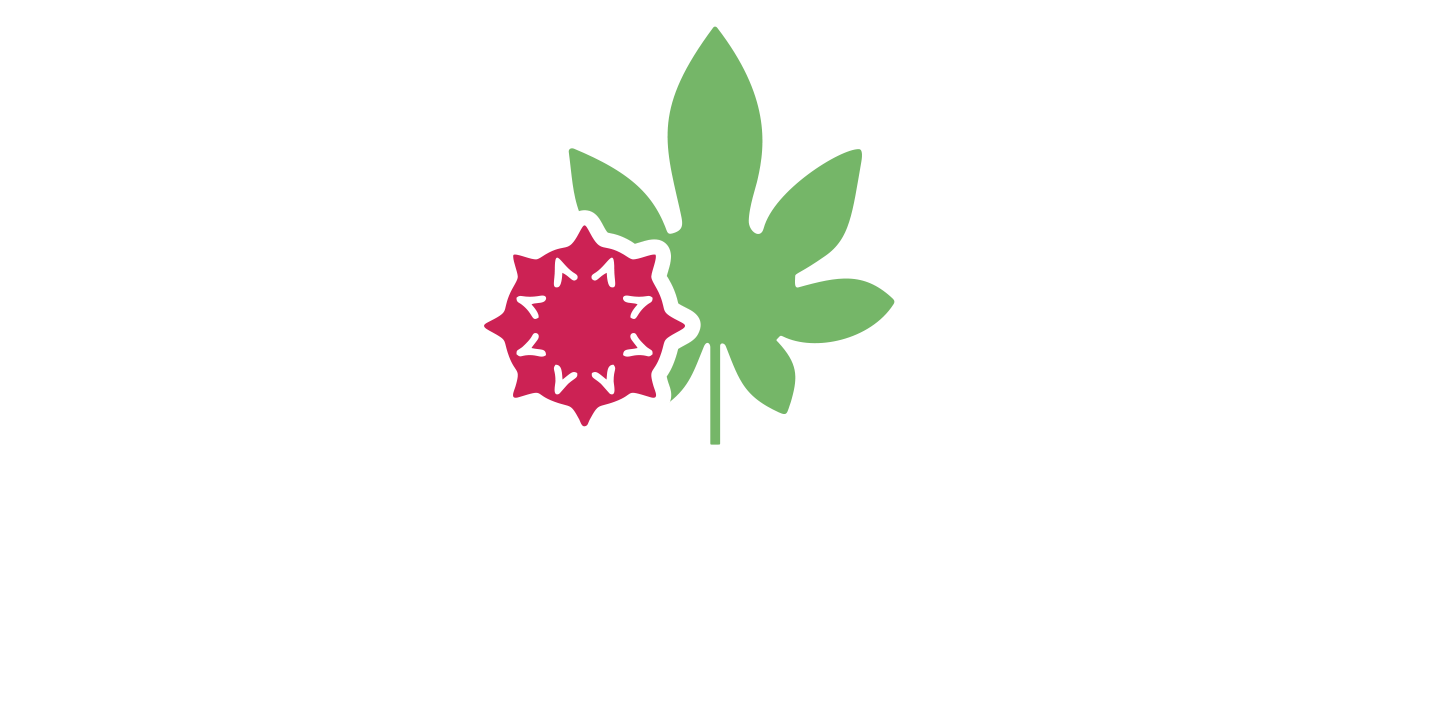 Logo Ricinolio C2